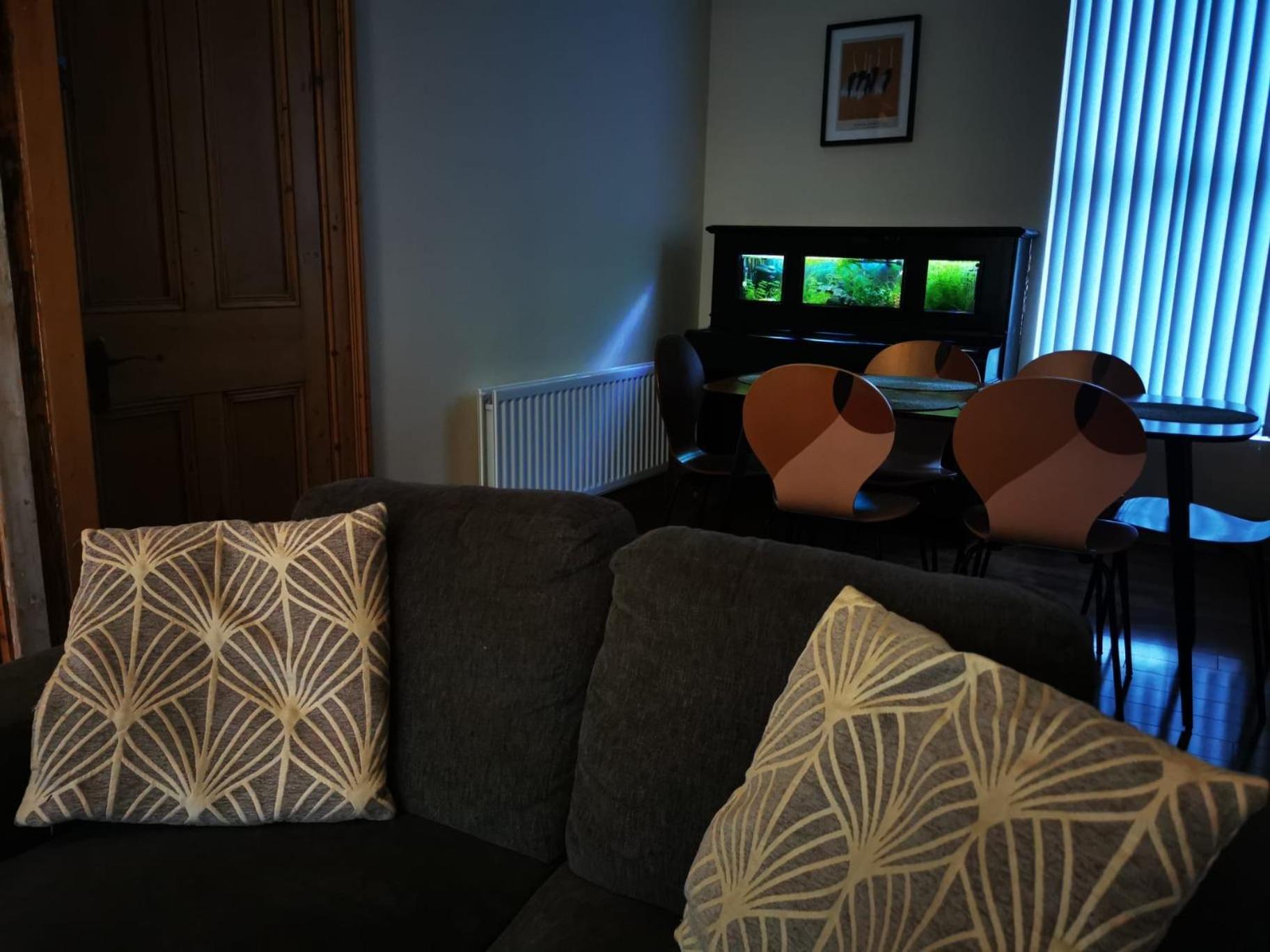 Gr8 Hostel At The Mount Белфаст Екстериор снимка